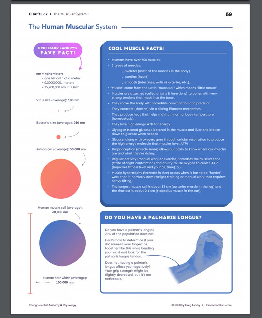 Self-Paced Homeschool Science Classes Self-Paced Homeschool Science Classes