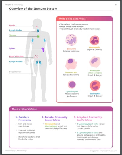 7 Reasons to try this 7 Week Biochemistry/Microbiology Course for Homeschool Science The course includes great visuals to aide in student learning and retention. The visuals are used both in the video lecture and the PDF, which can either be printed or used as reference material from the computer.