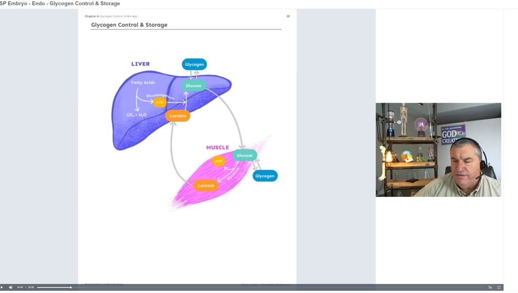 Greg Landry teaching about the liver in the online self-paced Biochemistry/Microbiology homeschool science course.