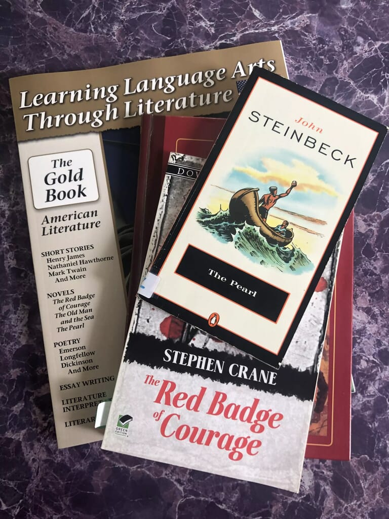 Open & Go High School Homeschool Literature Curriculum Homeschool High School Literature Curriculum
